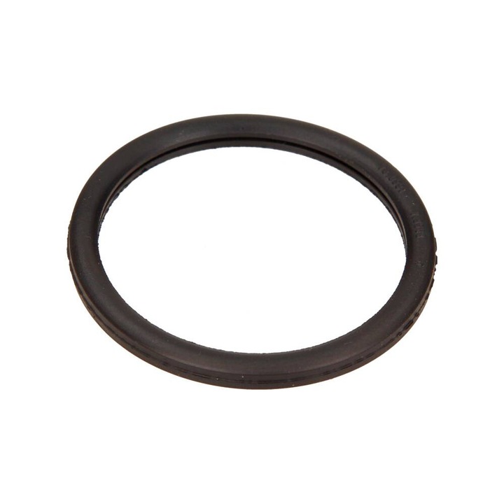 Tömítés termosztát, EPS, Renault Megane