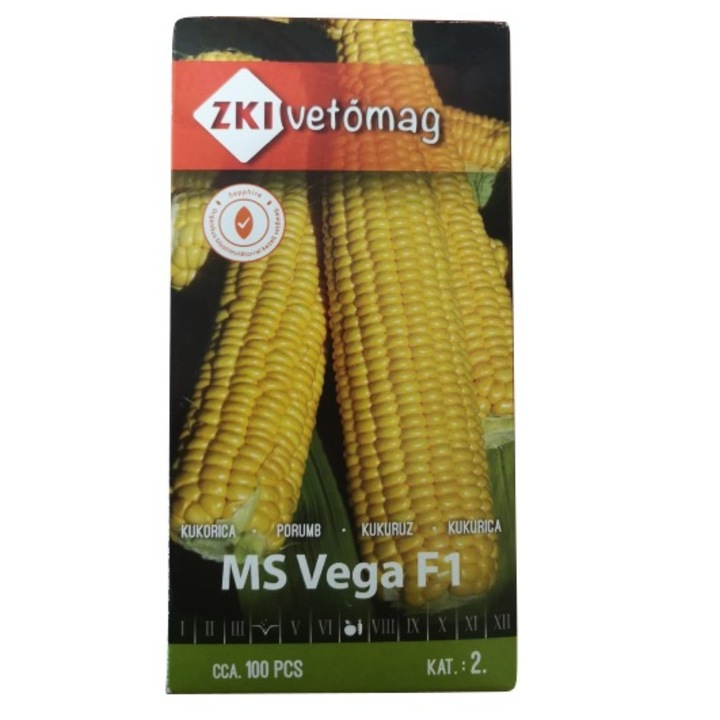 Seminte de porumb zaharat Ms Vega F1 ZKI, 100 de Seminte