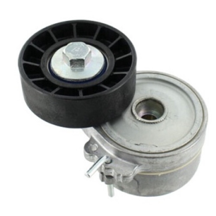 SKF szíjfeszítő görgő, CITROEN-hez