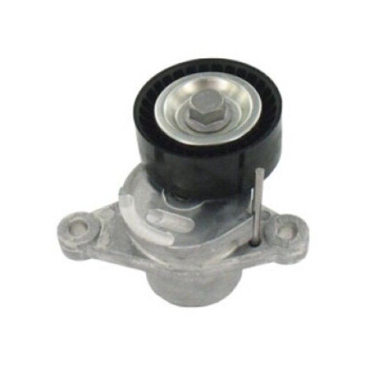 Rola curea multirib, SKF, pentru CITROEN 1,6HDI