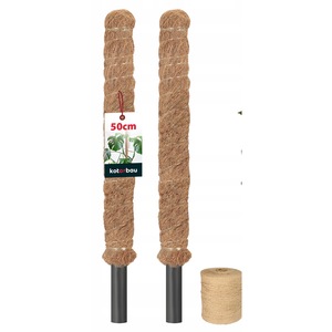 Ghivece si suporturi