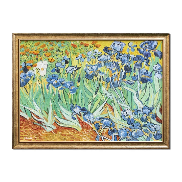 Tablou celebru inramat pictat manual, Irisi la Saint-Remy, 75x55cm ulei pe panza reproducere Vincent van Gogh