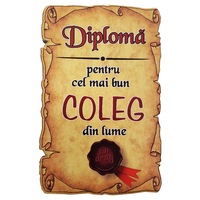magnet diploma pentru cel mai bun coleg din lume lemn imagen 26_0_
0
