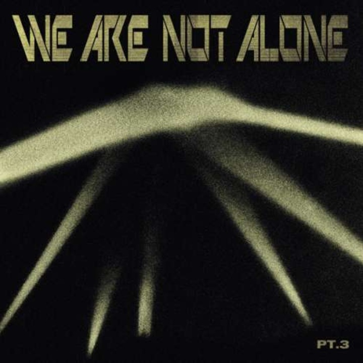 V/A - We Are Not Alone Pt.3 (2LP)