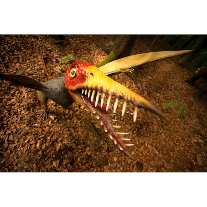 Dino Parc Rasnov, bilet de intrare un singur acces pentru 2 adulti + 1 copil cu varsta >3 ani, bonus 1 intrare labirint cu lasere, valabil pana la 31 mai 2025