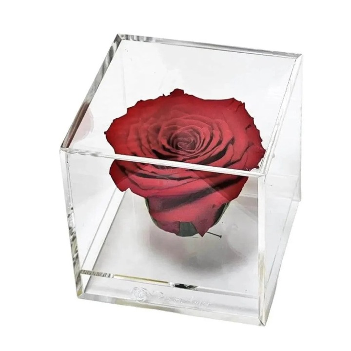 Trandafir Criogenat, Ø6 cm, in Cutie Transparenta 9x9x9cm, Rosu, Kdeco