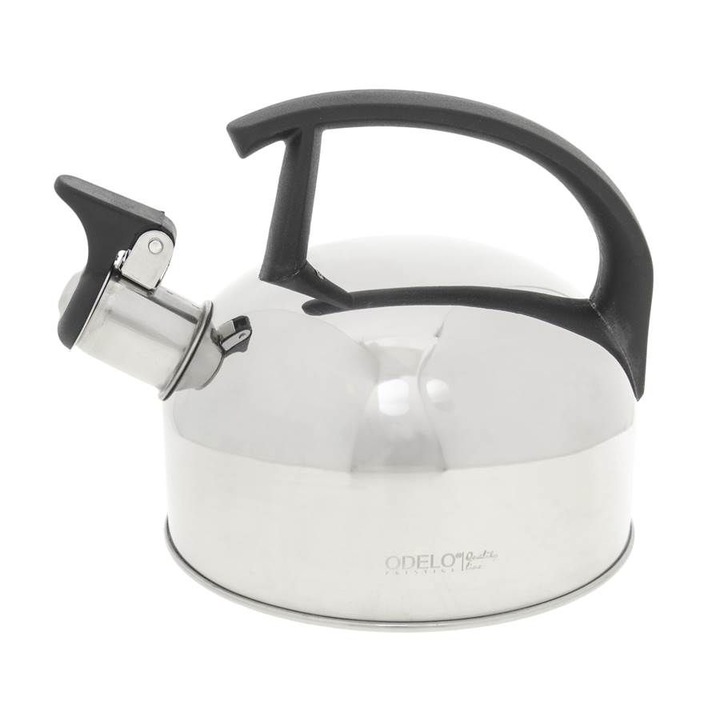 Ceainic din inox, Delhan, 1,5L, argintie, cu finisaj lucios, capacitate utila 1,0L, 14,5cm