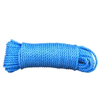 Sfoara polipropilena, Evotools, diametru 10 mm, lungime 10 m, rasucita