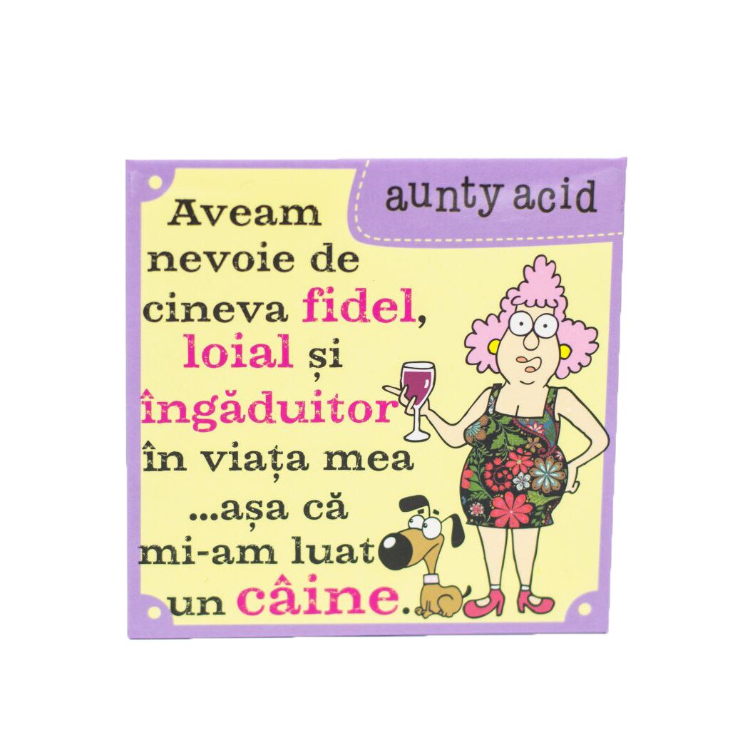 Magnet Aunty Acid - Caine