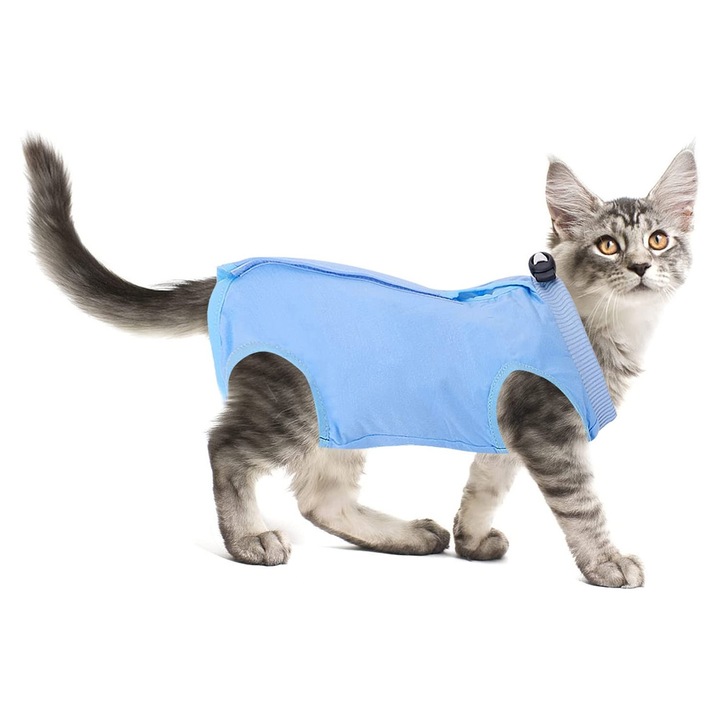 Гащеризон за котки, QttvbTna, Следоперативен, Санитарен, Син, L