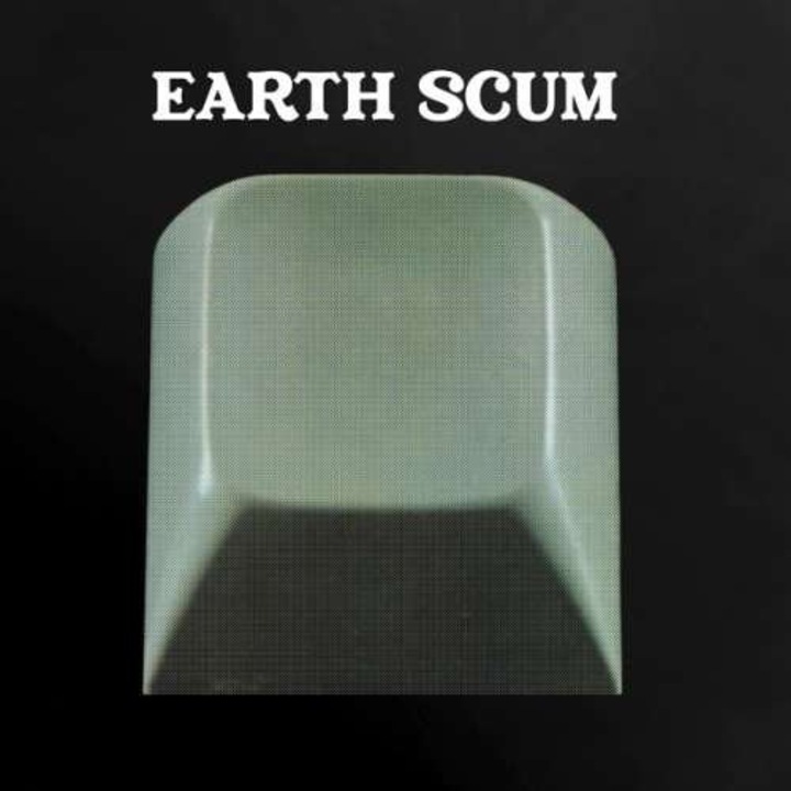 Fyi Chris - Earth Scum (2LP)