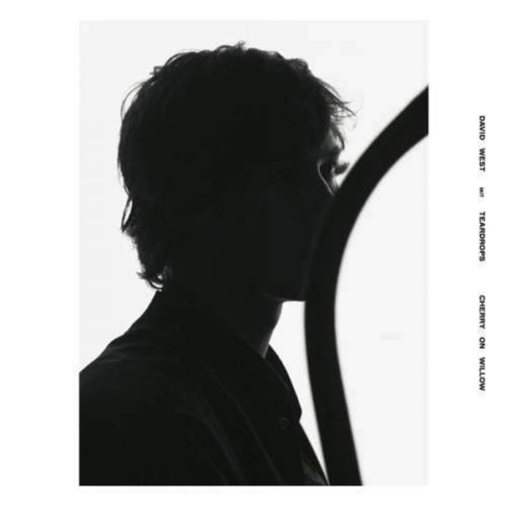 David West - Cherry On Willow (LP)