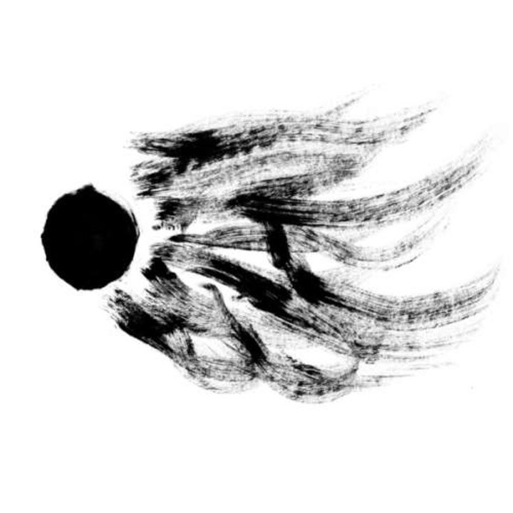 Agf & Various - Dissentova (CD)