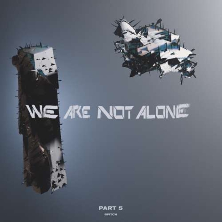 Various - We Are Not Alone - Part 5 (2LP)