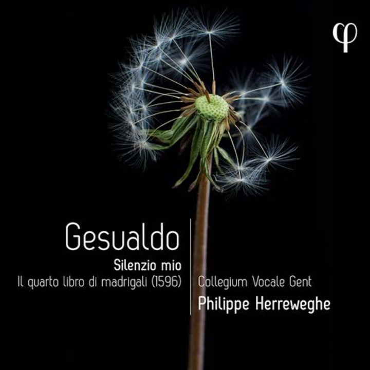 Collegium Vocale Gent - Gesualdo: Silenzio Mio - Il Quarto Libro Di Madrigali (CD)