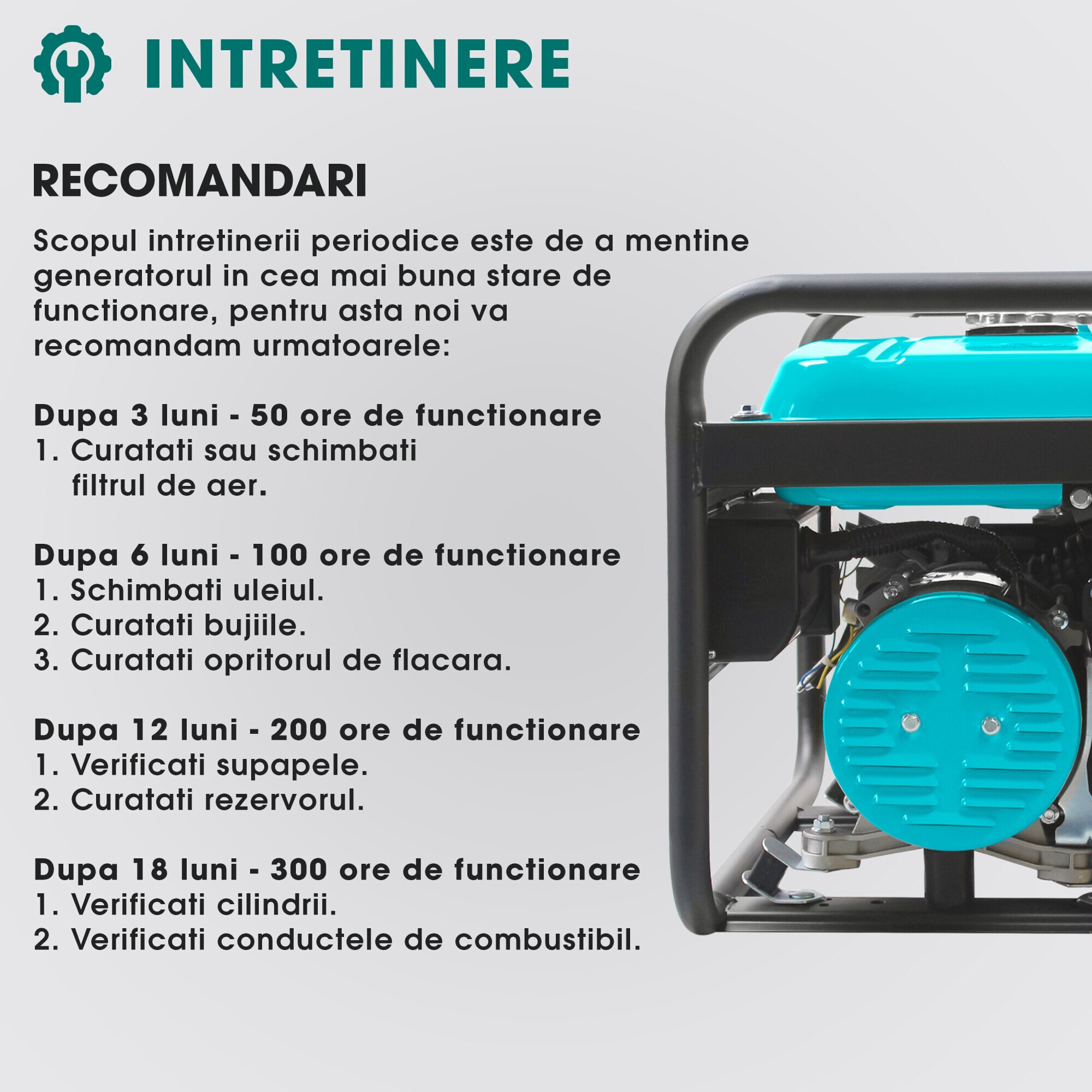 Generator curent electric profesional Herrgut pe benzina, GPL, gaz ...