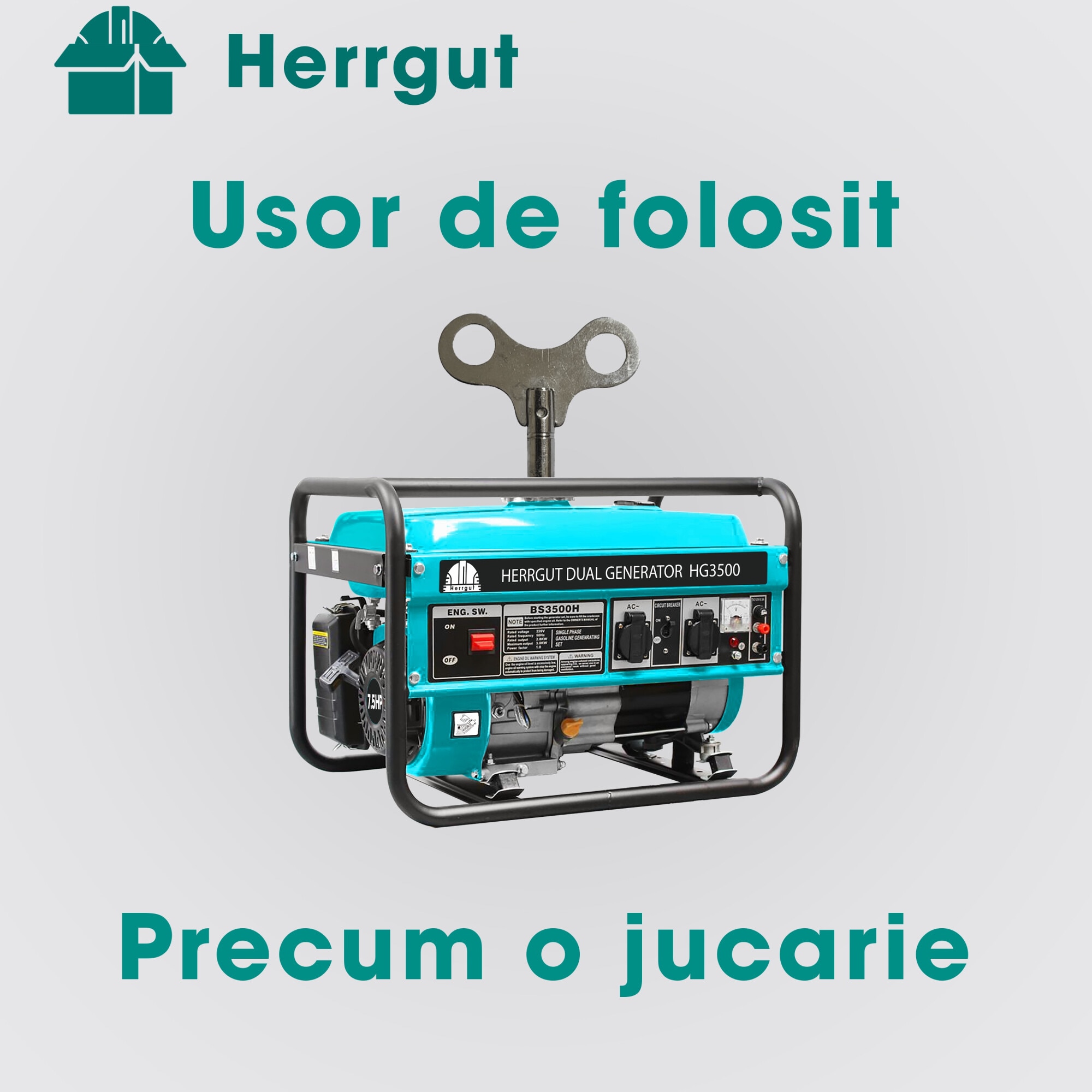 Generator curent electric profesional Herrgut pe benzina, GPL, gaz ...