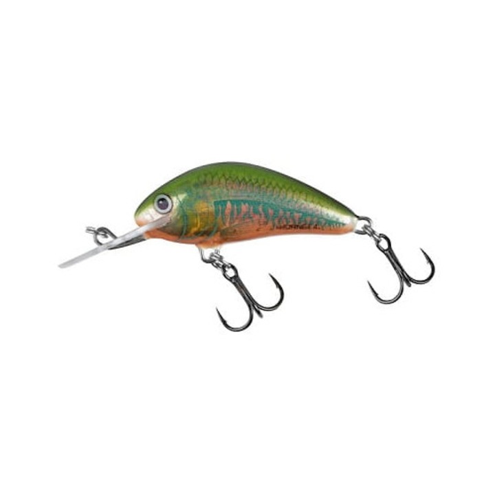 SALMO HORNET 3.5cm 2.2g Holo Oikawa FL