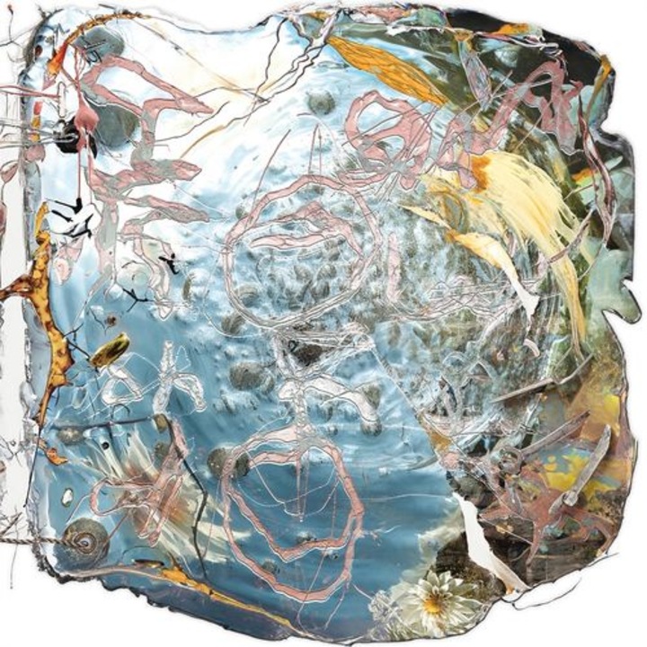 How To Dress Well - I Am Toward You (LP)