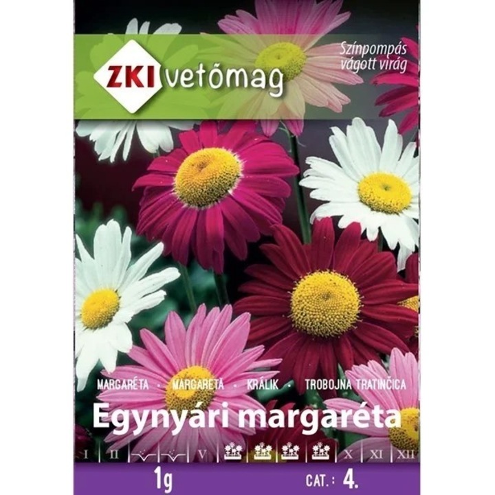 Az egynyári százszorszép vegyes színben virágzik
