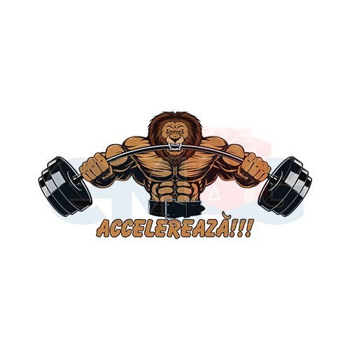 Sticker Auto ,,Accelereaza”, 20x9 cm