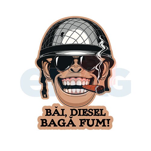 Sticker Auto ,,Bai Diesel Baga Fum”, 20x9 cm