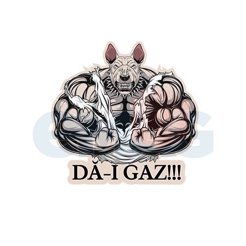 Sticker Auto ,,Da-i Gaz”, 20x20 cm