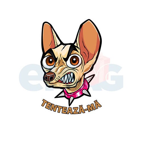 Sticker Auto ,,Tenteaza-ma”, 20x13 cm