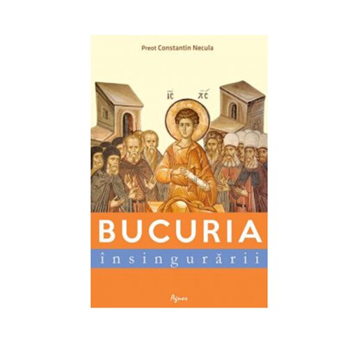 Bucuria insingurarii - Pr. Constantin Necula
