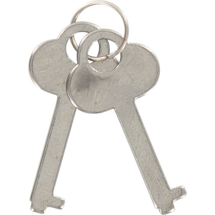 Set accesorii BDSM TOYJOY - Cufere roz cu lant din otel cromat, 2 chei