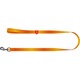 Lesa pentru caini, WAUDOG, Nylon Mono, portocaliu, L, 300 cm, 25 mm