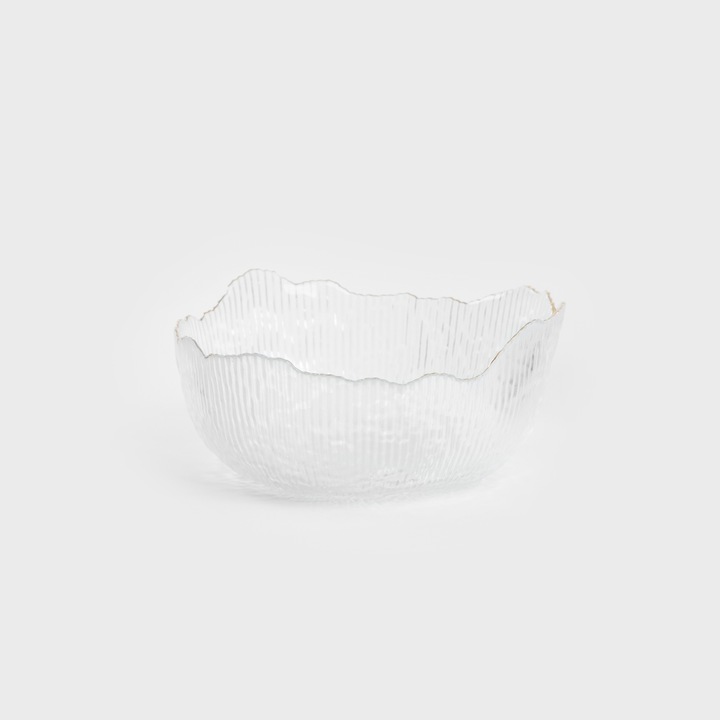 Castron canelat APOLA transparent L 9 cm x 20 cm HOMLA