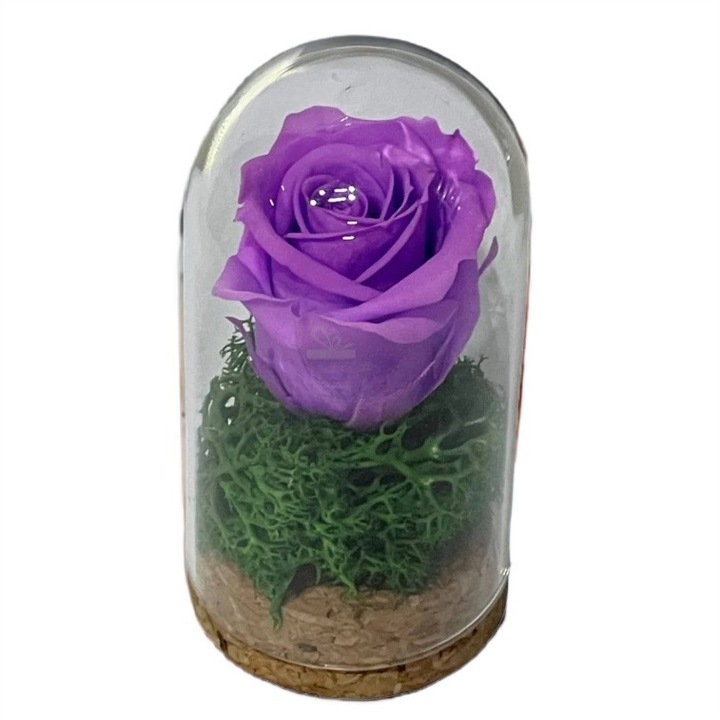 Trandafir Criogenat, in Cupola de Sticla 5 x 9, 5 cm, Marturie, Lila, Kdeco