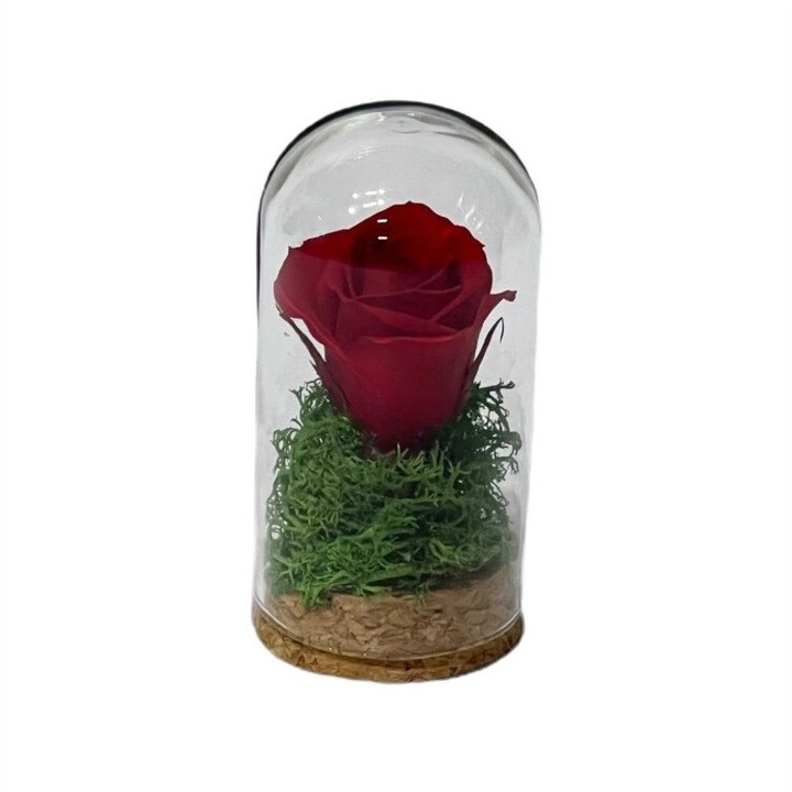 Trandafir Criogenat, in Cupola de Sticla 5x9, 5cm, Marturie, Rosu, Kdeco