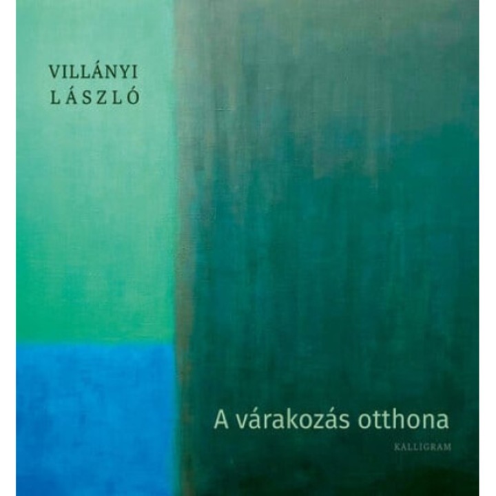Villányi László: A várakozás otthona