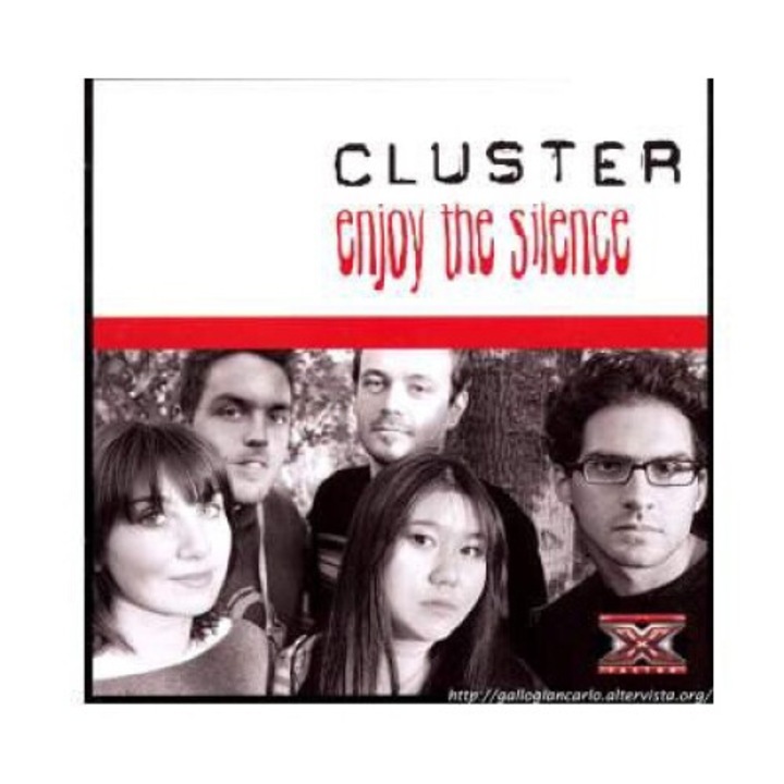Cluster: Enjoy the Silence [CD]