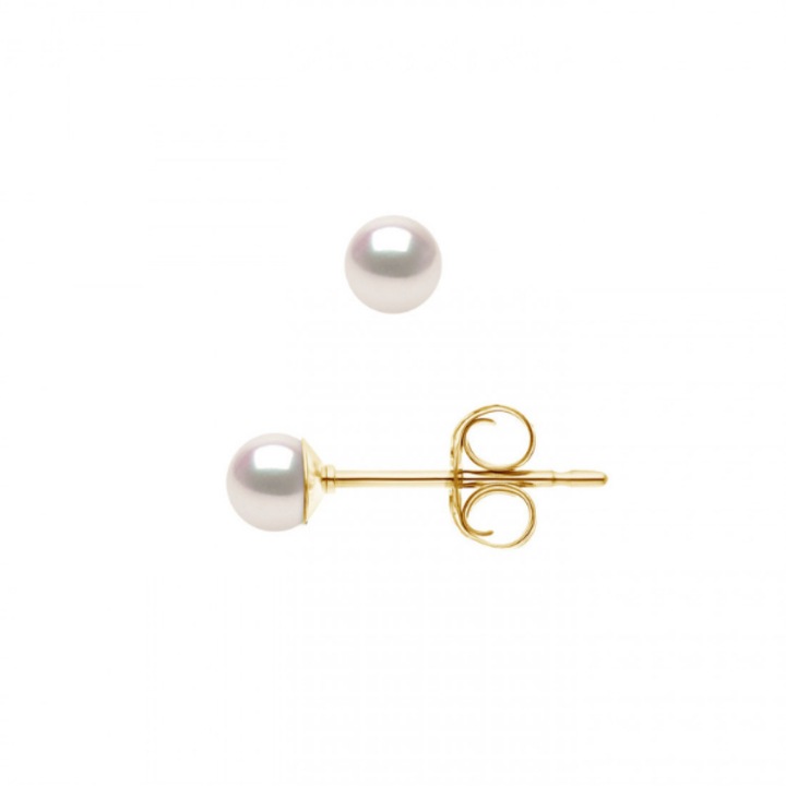 Cercei din aur galben 18K si perle de Akoya, rotunde, 5.5-6 mm, calitate AA+