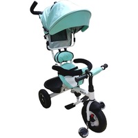 tricicleta cu copertina baby care my first trike  pedale si maner pentru parinti scaun reversibil cu invartire 360 grade  cadru metalic verde turquise imagen 47_0_
0