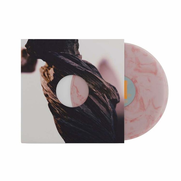 PIXIES - The Night The Zombies Came, LP