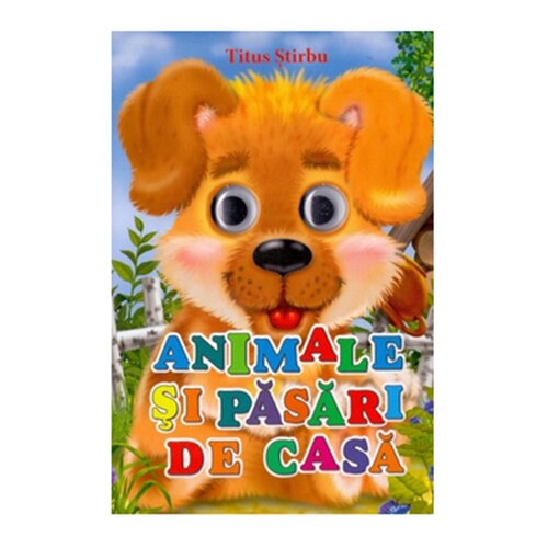 Ochisori. Animale Si Pasari De Casa