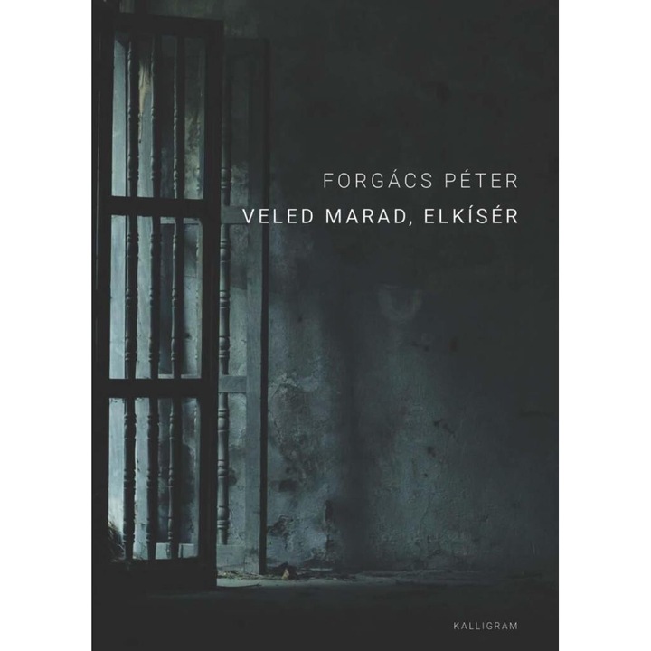 Forgács Péter: Veled marad, elkísér