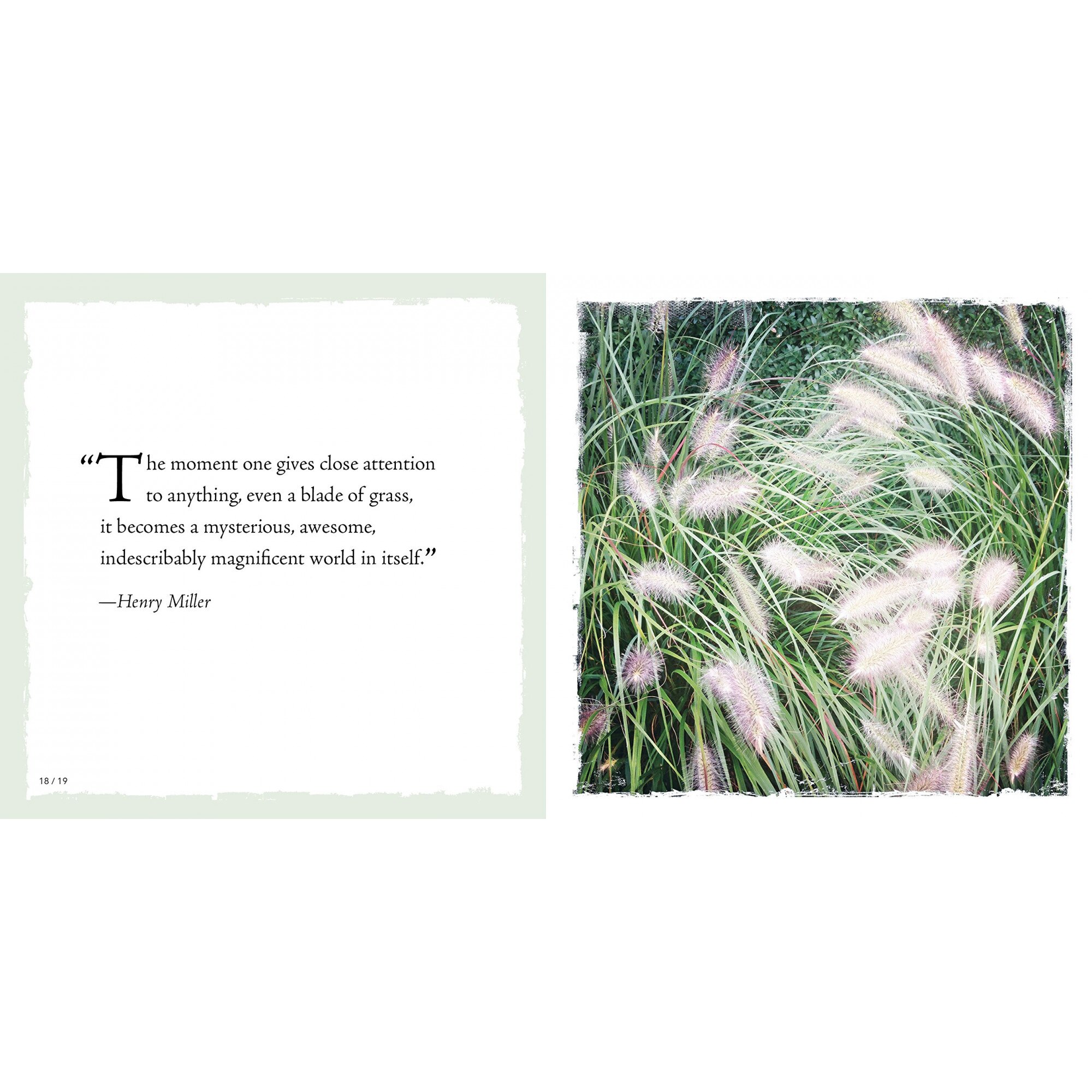 See Your Way To Mindfulness - David Schiller