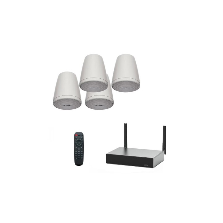 Sistem Audio cu Boxe Suspendate Bose Albe FreeSpace FS2P si amplificator wi-fi Arylic A30+