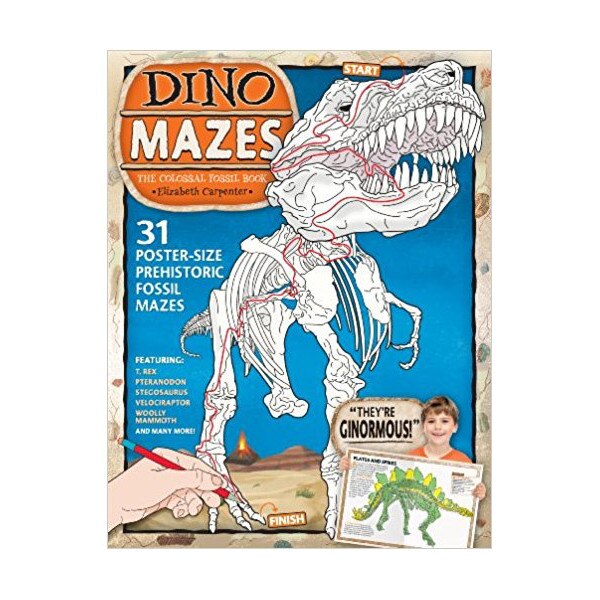 Dinomazes: The Colossal Fossil Book - Elizabeth Carpenter