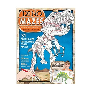 Dinomazes: The Colossal Fossil Book - Elizabeth Carpenter Dinomazes: The Colossal Fossil Book - Elizabeth Carpenter