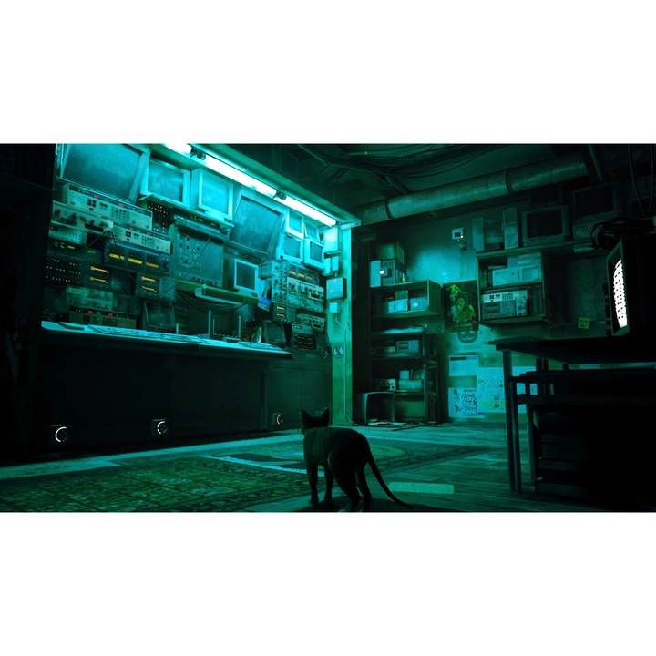 Joc Stray Pentru Nintendo Switch