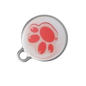 Dispozitive anti-pierdere