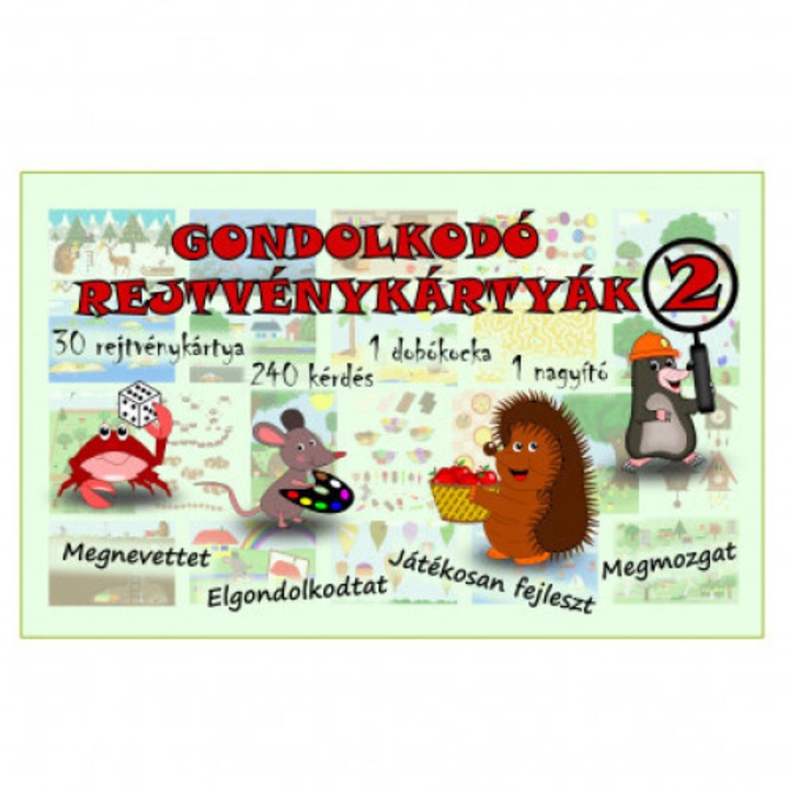Gondolkodó rejtvénykártyák 2