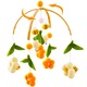 Product option