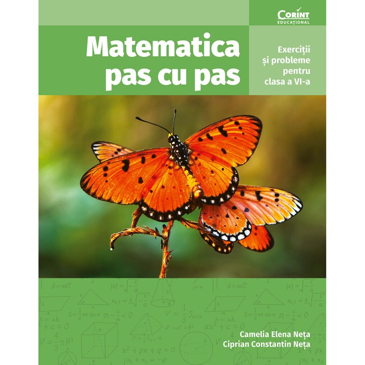 Matematica pas cu pas. Exercitii si probleme pentru clasa a VI-a, Camelia Elena Neta
